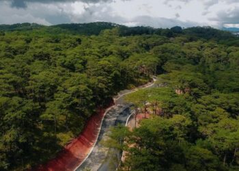 đèo prenn, đèo prenn đà lạt, đèo prenn bây giờ ra sao, đèo prenn dài bảo nhiều km, đèo prenn có gì chơi, đèo prenn có nguy hiểm không