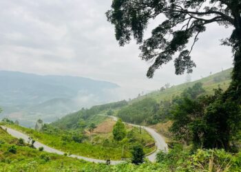 đèo vi ô lắc nằm ở đâu, đèo vi ô lắc, kinh nghiệm đi đèo vi ô lắc, đèo vi ô lắc đường đi, đèo vi ô lắc ở đâu