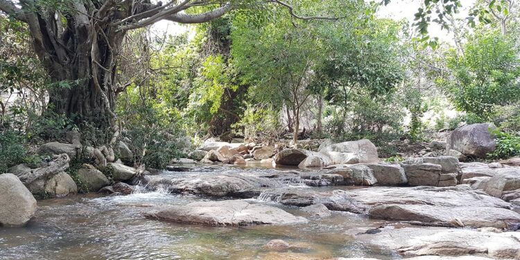 suối lồ ồ có gì hay, du lịch ninh thuận, phượt ninh thuận